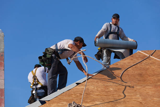Best Roof Leak Repair  in Monticello, IA