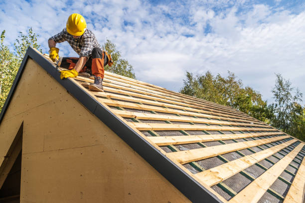 Best Roof Gutter Cleaning  in Monticello, IA